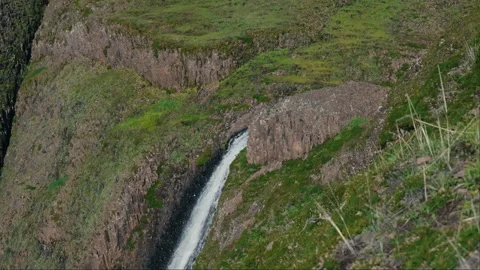 Side profile of waterfall and green grass in slow motion Stock Footage 263779313