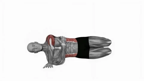 Side push up fitness exercise workout animation male muscle highlight 4K Видео 243986335