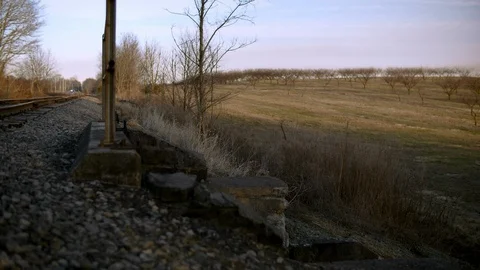 Side of Railroad Tracks and Tree Orchard Stock Footage 128245477