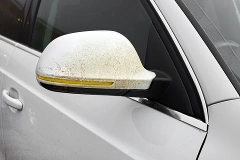 Side rear view mirror on driver door covered with a layer of adhered dirt. Stock Photos
