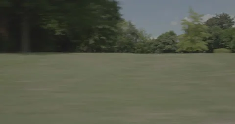 Side right driving plate - Benedict Street at Wilkes Road, Columbia Stock Footage 285059695