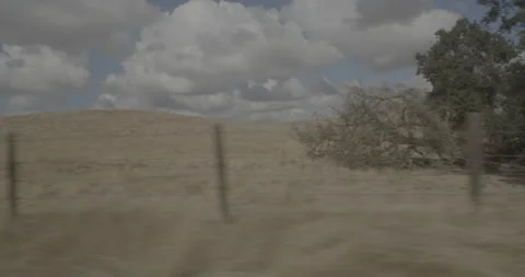 Side right driving plate - Buena Vista Road at Mile 1, Dogtown Vídeo Stock 293490842