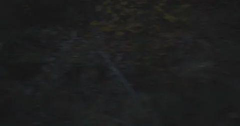 Side right driving plate - Cherry Lake Road at Mile 11, Colfax Spring Vídeo Stock 295128688