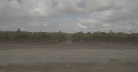 Side right driving plate - Clay East Road at Kirkwood Street, Herald Stock Footage 293581649
