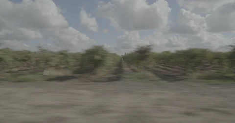 Side right driving plate - Davis Road at Sargent Road, Armstrong Vídeo Stock 293466032