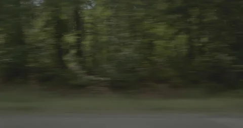 Side right driving plate - Highway 95 at Brunswick Avenue, Emporia Stock Footage 284978664