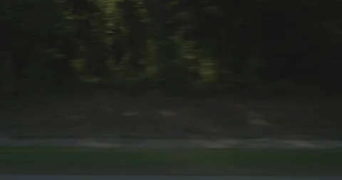 Side right driving plate - Highway 95 at Justice Branch Road, Heathsville Stock Footage 284993425
