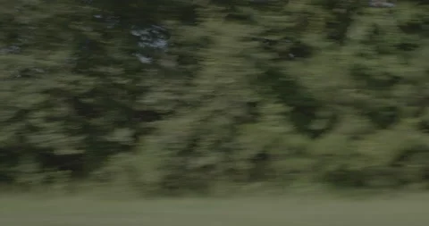 Side right driving plate - Highway 20 at Monticello Highway, Madison Stock Footage 285144210