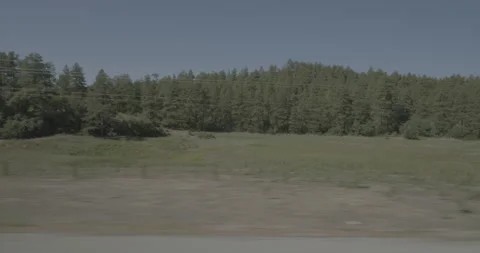 Side right driving plate - Highway 160 at Mile 114 Archuleta County Stock Footage 288563632
