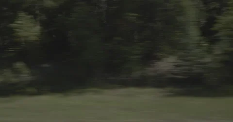 Side right driving plate - Highway 160 at Mile 156 Mineral County Vídeo Stock 288734255