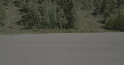 Side right driving plate - Highway 160 at Mile 172 Mineral County Stock Footage 288767016