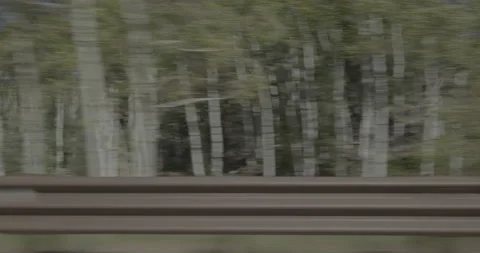 Side right driving plate - Highway 285 at Mile 119 Saguache County Vídeo Stock 288907479