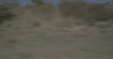 Side right driving plate - Highway 1 at Watson Drive, San Luis Obispo Stock Footage 294793523