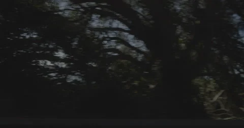 Side right driving plate - Highway 1 at Mile 71, Ragged Point Vídeo Stock 294933268