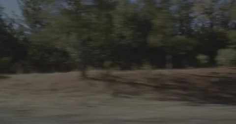 Side right driving plate - Highway 120 at Mile 34, Groveland Stock Footage 295053683