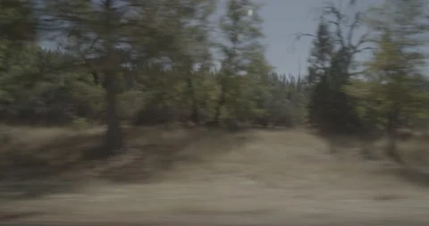 Side right driving plate - Highway 120 at Mile 41, Buck Meadows Vídeos de archivo 295120183