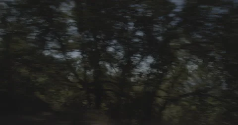 Side right driving plate - Highway 180 at Mile 107, Dunlap Stock Footage 295212772