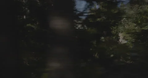 Side right driving plate - Highway 245 at Mile 1, Pinehurst Stock Footage 295220042