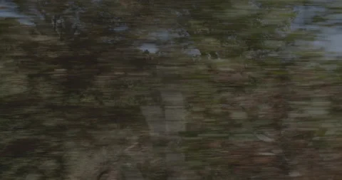 Side right driving plate - Highway 245 at Mile 16, Pinehurst Stock Footage 295222818