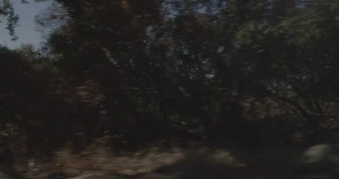 Side right driving plate - Highway 245 at Mile 27, Tulare County Vídeo Stock 295273153
