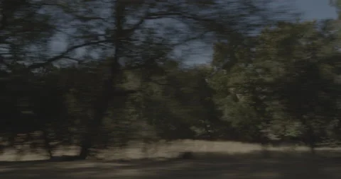 Side right driving plate - Highway 245 at Mile 25, Tulare County Vídeo Stock 295274342