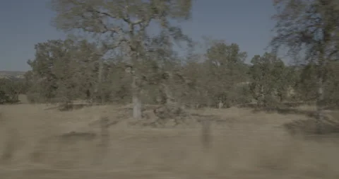 Side right driving plate - Highway 245 at Mile 24, Tulare County Vidéo 295275442
