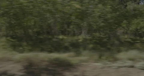 Side right driving plate - I-80 at Rest Area, Placer County Stock Footage 285422044