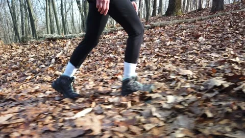 Side right shot of woman's legs hiking in Ward Pound Ridge Reservation Stock Footage 143920179