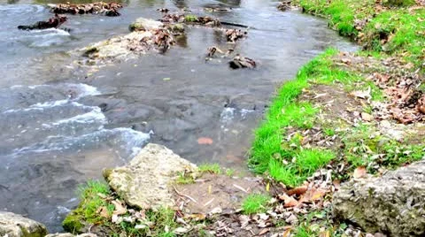 Side of a River in Autumn Stock Footage 8989927