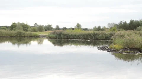 Side river of Havel River flowing into the main stream 스톡 동영상 56151965