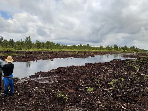 In the side of river Stock Photos