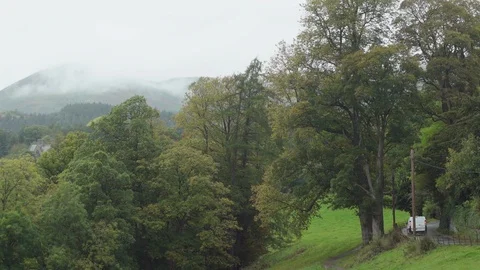 Side road through green field and trees on a cloudy day Stock Footage 88291392