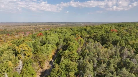 Side Scroll Over Forest &amp; Simcoe Rail Trail – Minesing Wetlands View Stock Footage 319716835