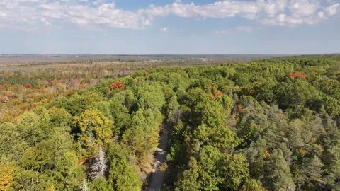 Side Scroll Over Simcoe Rail Trail and Minesing Wetland Video stock 319716341