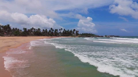 Side-Scrolling Drone Along Shoreline with Foamy Waves and Coconut Trees Stock Footage 315510682