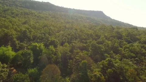 Side shot forest with buda Видео 91981958