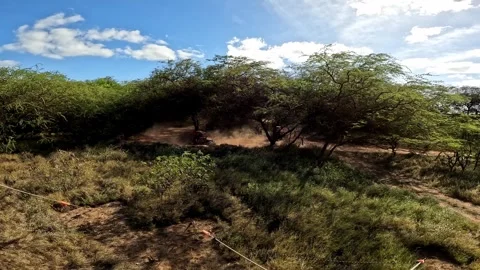 Side shot of three UTVs driving in nature. Stock Footage 306056962
