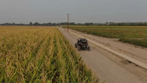 Side by side ATV drives along dirt farm roads next to corn field fast aerial Video stock 167856163