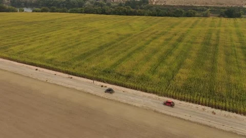 Side by side ATV drives along dirt farm roads next to corn field fast aerial Video stock 167856302