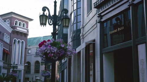 Side to side gimbal move with flowers foreground Rodeo Drive Stock Footage 332621790