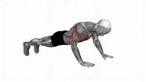 Side to side push up fitness exercise workout animation male muscle highlight 4K Видео 243986361