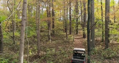 Side by side off road vehicle driving through the woods in the fall.  Drone Stock Footage 254498517