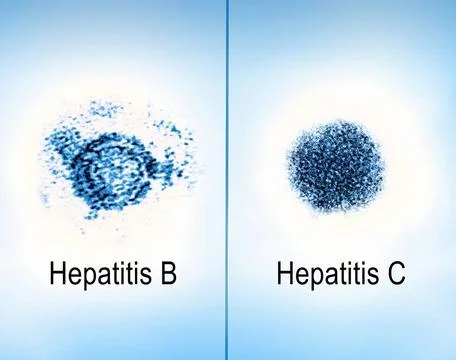  Side-by-side transmission electron micrograph images of hepatitis B and C... Stock Photos