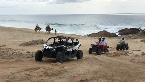 Side by side utility 4x4 and camels passing on the beach Stock Footage 248477318