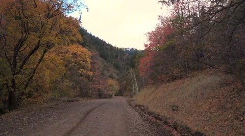 Side by Side UTV approaches on Mountain road Autumn leaves Stock Footage 67876591