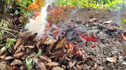 Side by Side View of Burning Dry Leaves and Grey Ash Pile Stock Footage 346009101