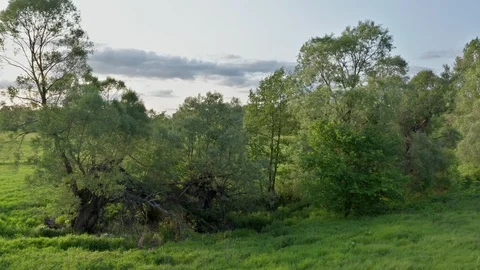 Side span over the terrain. Stock Footage 113661206