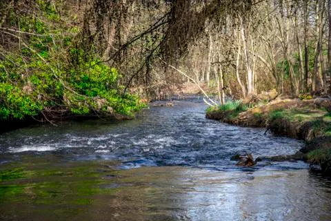 A side stream of River Don in Seaton park, Aberdeen Stock Photos