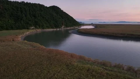 Side Tracking Aerial Shot of River and Reeds at Sunset Stock Footage 313171472