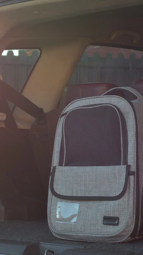 Side tracking close-up of a gray pet carrier backpack placed in a car trunk Stock Footage 324827396